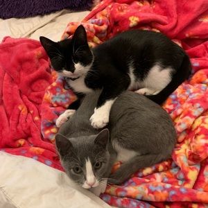 Meet your Posher, Tre